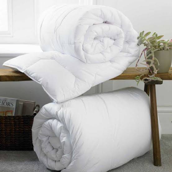 RAZAI FILLING - QUILT INSERT 300 GSM